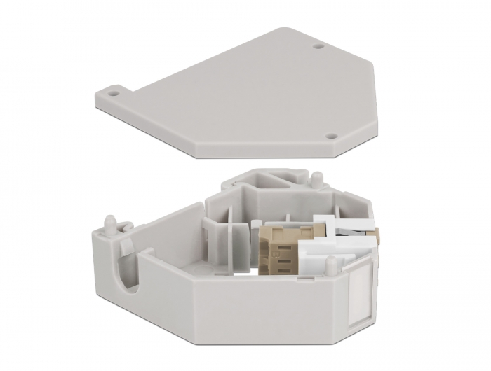 Hutschienenadapter mit Keystone LC Duplex Buchse zu LC Duplex Buchse beige, Delock® [87193]