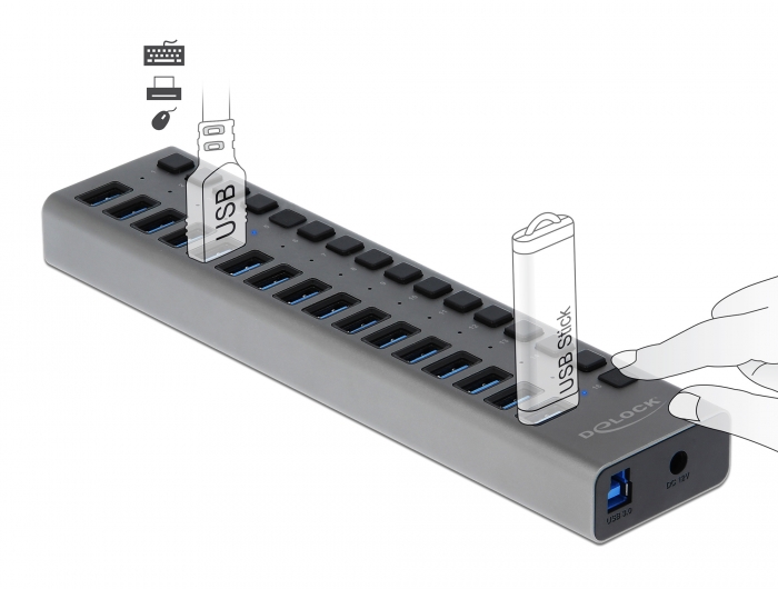 Externer SuperSpeed USB Hub mit 16 Ports + Schalter, Delock® [63739]