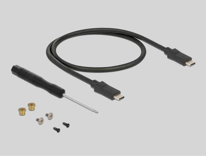 Externes Gehäuse für M.2 SATA SSD mit USB Type-C™ Buchse, Delock® [42003]