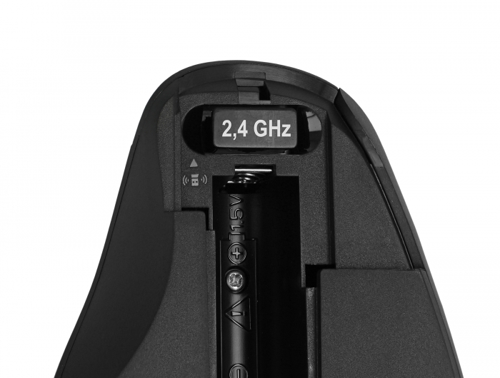 Ergonomische USB Maus - kabellos, Delock® [12598]