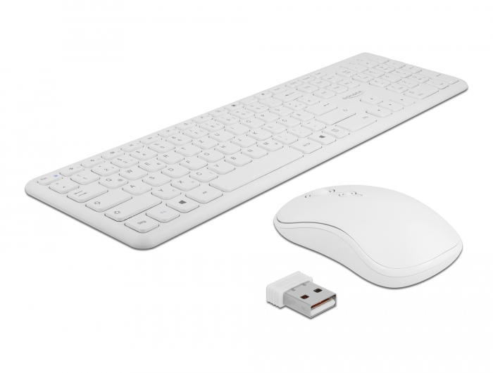 USB Tastatur und Maus Set 2,4 GHz kabellos weiß, Delock® [12703]
