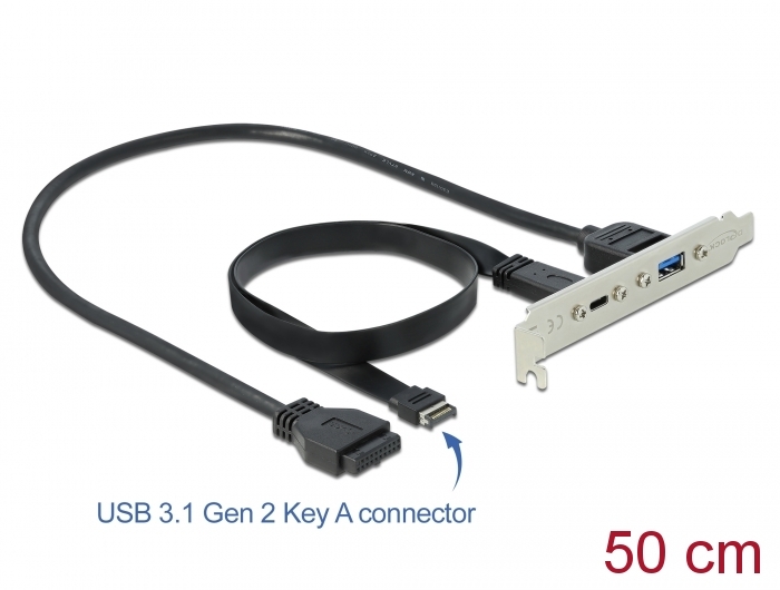 USB 3.1 Slotblech mit 1 x USB Type-C™ und 1 x USB Typ-A Port, Delock® [89934]
