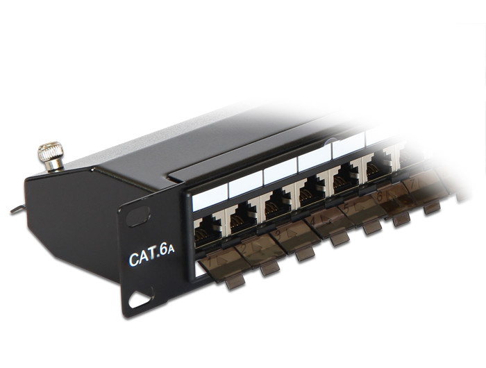 19" Patchpanel 24 Port Cat.6A schwarz, Delock® [43320]