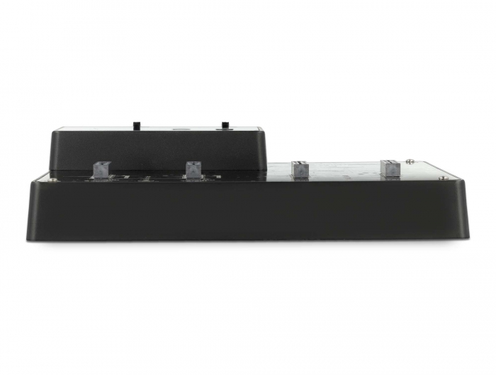 M.2 Dockingstation für 4 x M.2 NVMe PCIe SSD mit Klon Funktion, Delock® [64124]