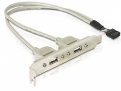 Slotblech, intern USB 9pin an 2x USB2,0 extern, Delock® [71000]