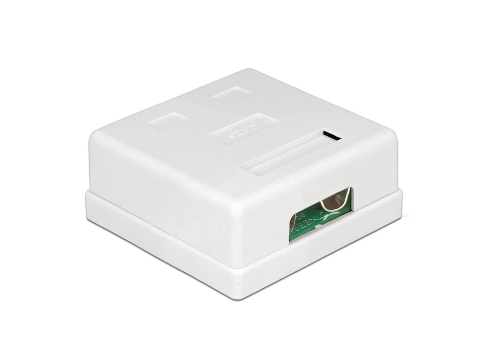 Netzwerk Anschlussdose 2 Port Cat.6, Delock® [86269]