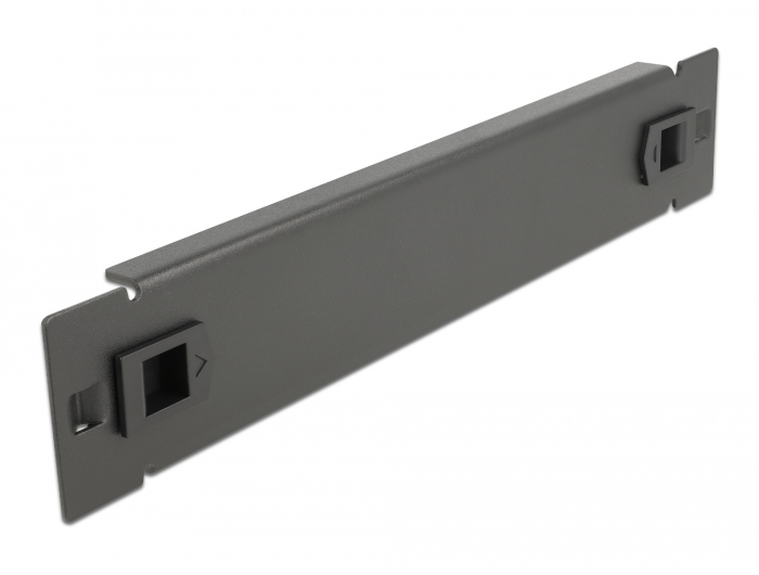 10" Netzwerkschrank Blindabdeckung werkzeugfrei 1 HE schwarz, Delock® [66576]