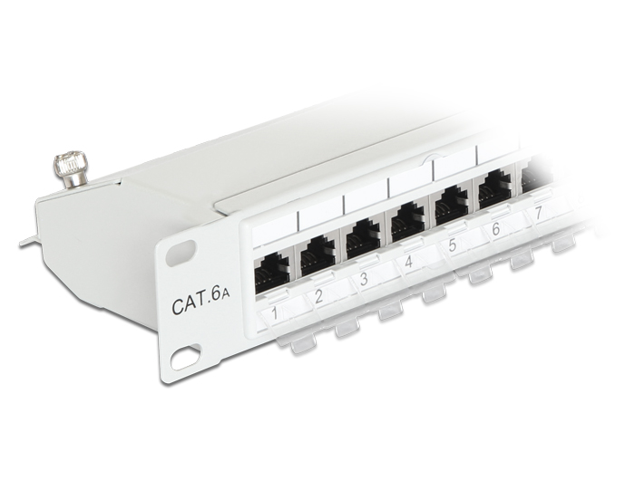 19" Patchpanel 24 Port Cat.6A grau, Delock® [43319]