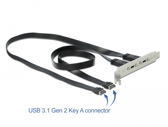 USB 3.1 Gen 2 Slotblech mit 2 x USB Type-C™ Port, Delock® [89935]