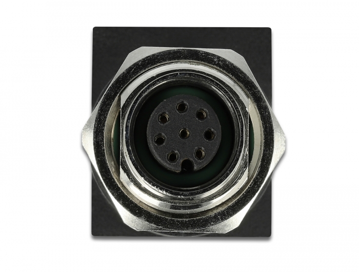 Netzwerkadapter M12 8 Pin A-kodiert Buchse an RJ45 Buchse, Delock® [66314]