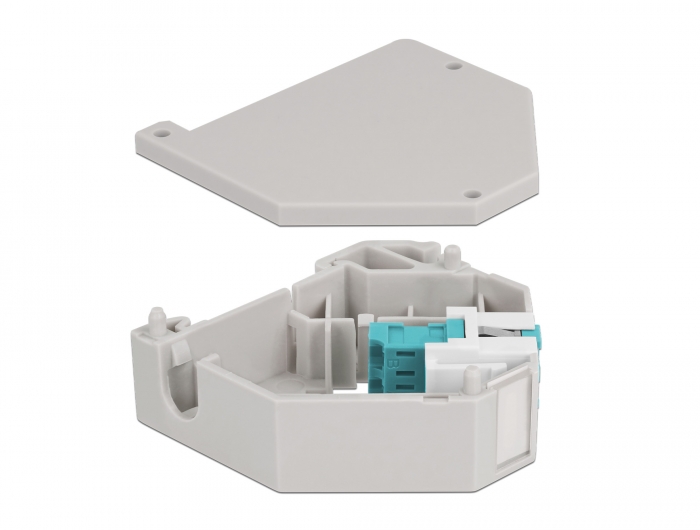Hutschienenadapter mit Keystone LC Duplex Buchse zu LC Duplex Buchse aqua, Delock® [87194]