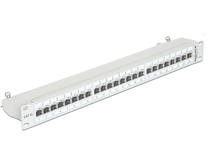 19" Patchpanel 24 Port Cat.6A grau, Delock® [43319]