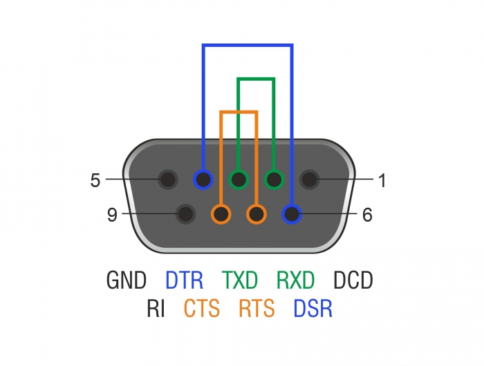 RS-232/422/485 Loopback Adapter mit DB9 Buchse, Delock® [66827]