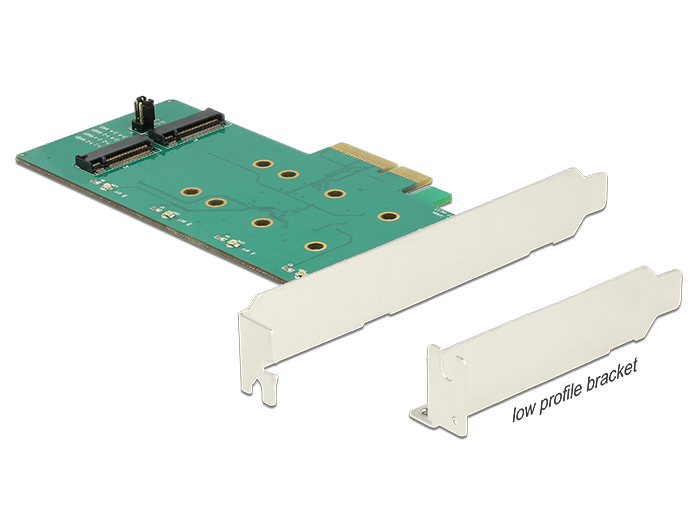 PCI Express Karte an 2x intern M.2 Key B mit RAID - Low Profile Form Faktor, Delock® [89536]